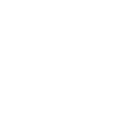 Wise Owl